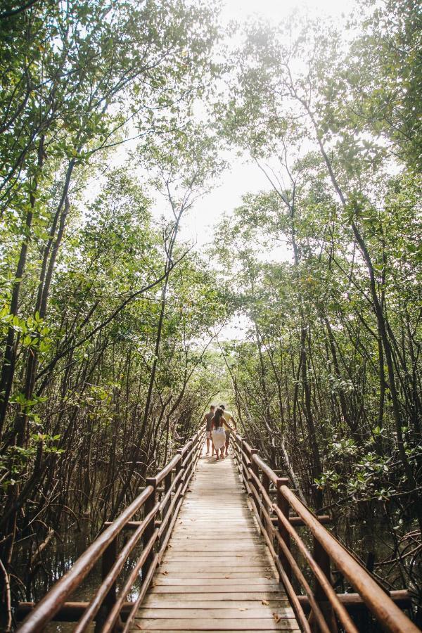 Pousada Reserva Tatuamunha Pôrto de Pedras Buitenkant foto